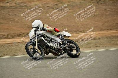 media/Nov-22-2025-2WTD (Sat) [[7eb050eb5f]]/B Group/Session 2 (Turn 7)/